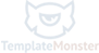 netpeak logo