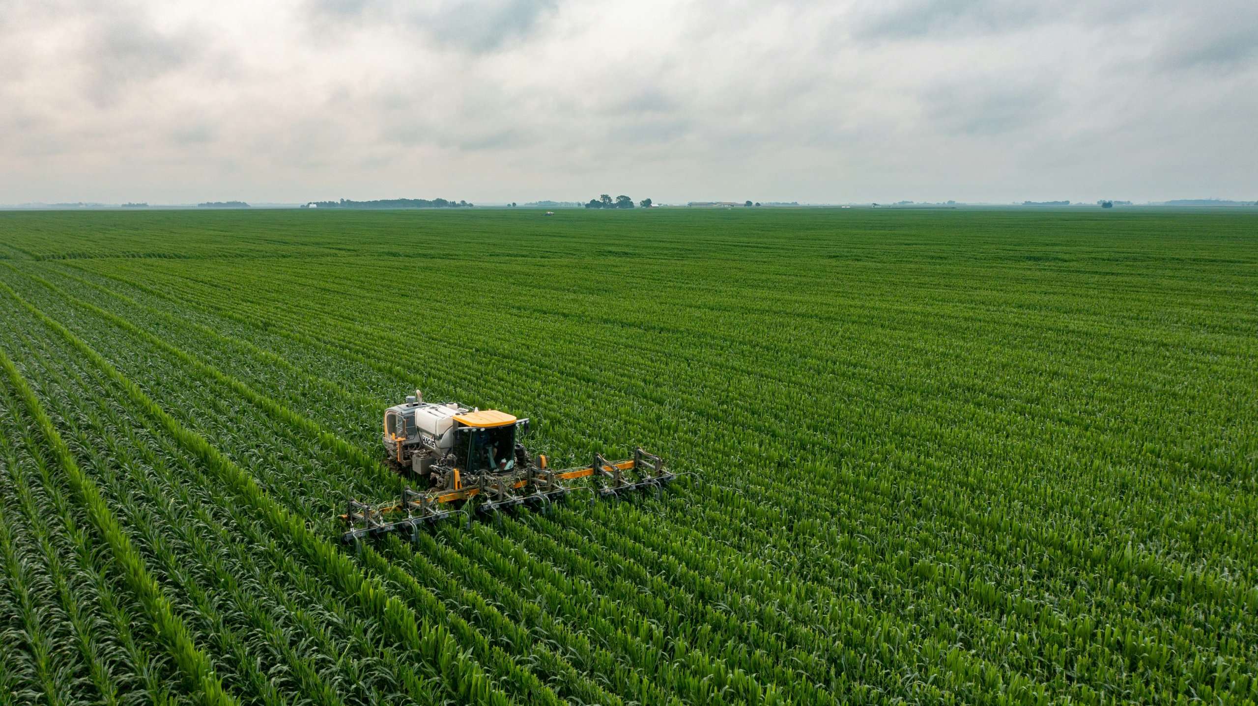 Agricultural Sector