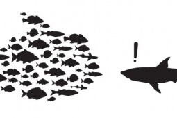 Команда сильнее, чем один человек