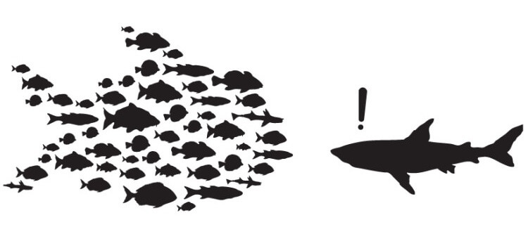 Команда сильнее, чем один человек