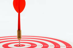 професійні цілі